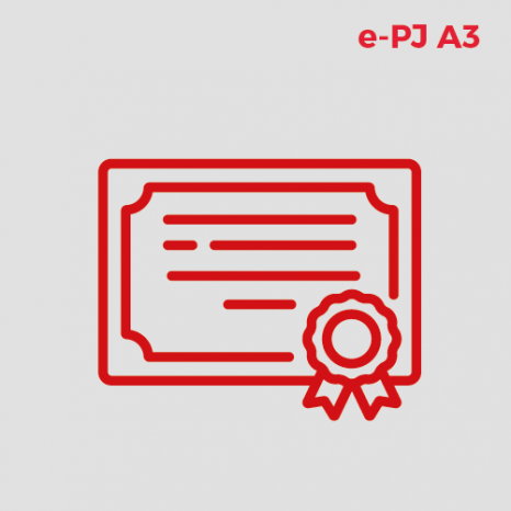 Certificado Digital para Pessoa Juridica A3 (e-PJ A3)